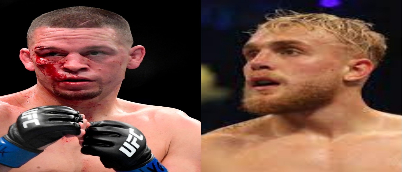 Nate Diaz and Jake Paul React to Potential Boxing Fight