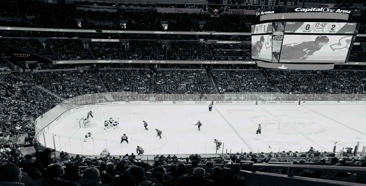  A Newbie’s Betting Guide to Hockey Betting
